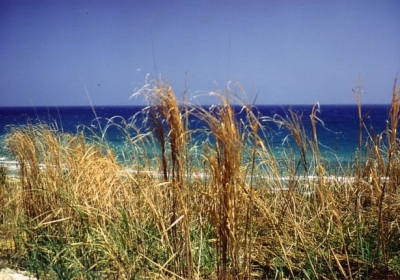 Casa Vacanze Lido Fiori